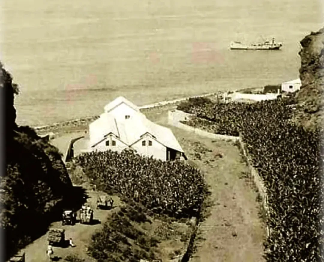rehab. Casa-Almacén Yanes