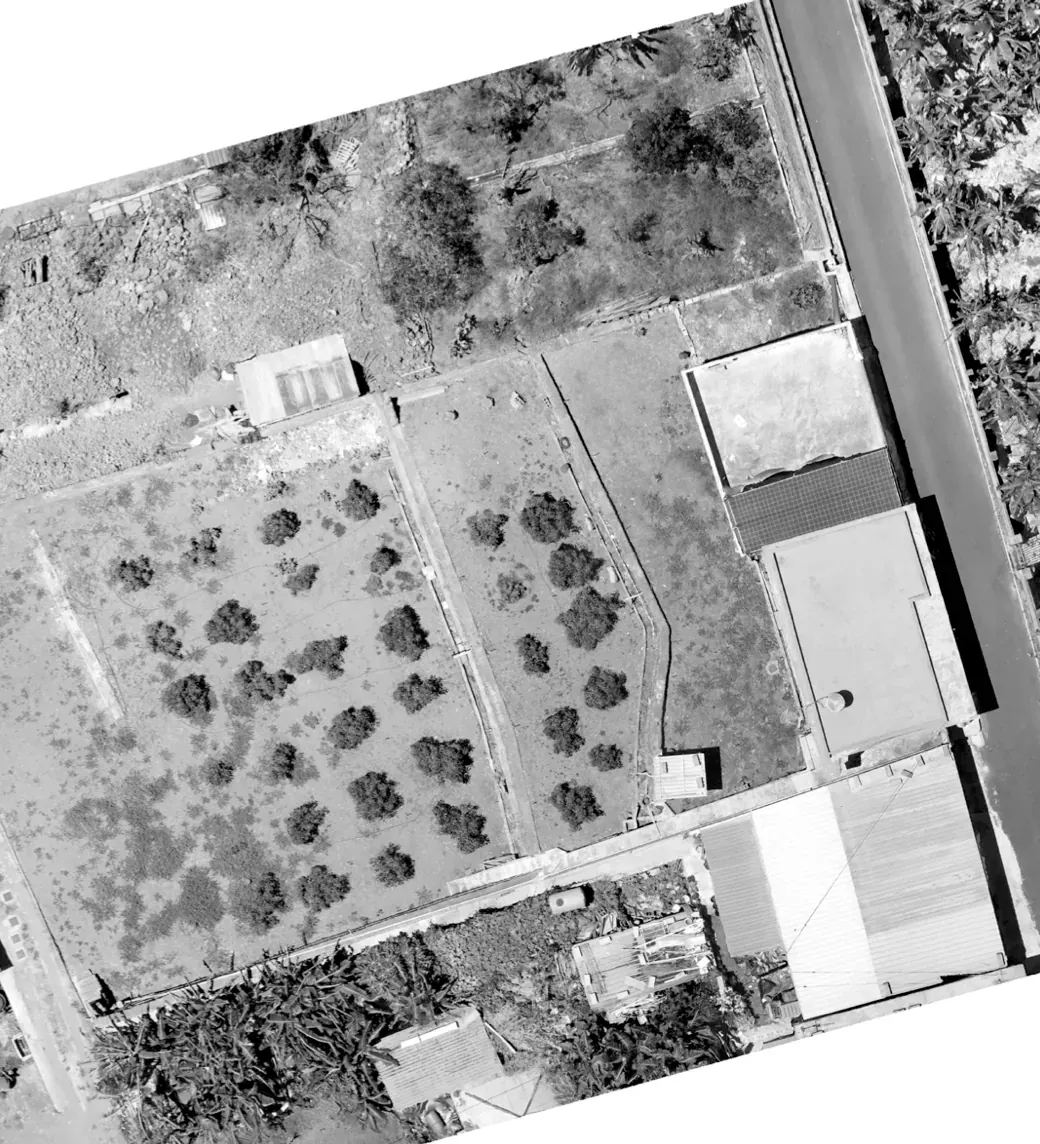 vivienda La Marina — imagen 1