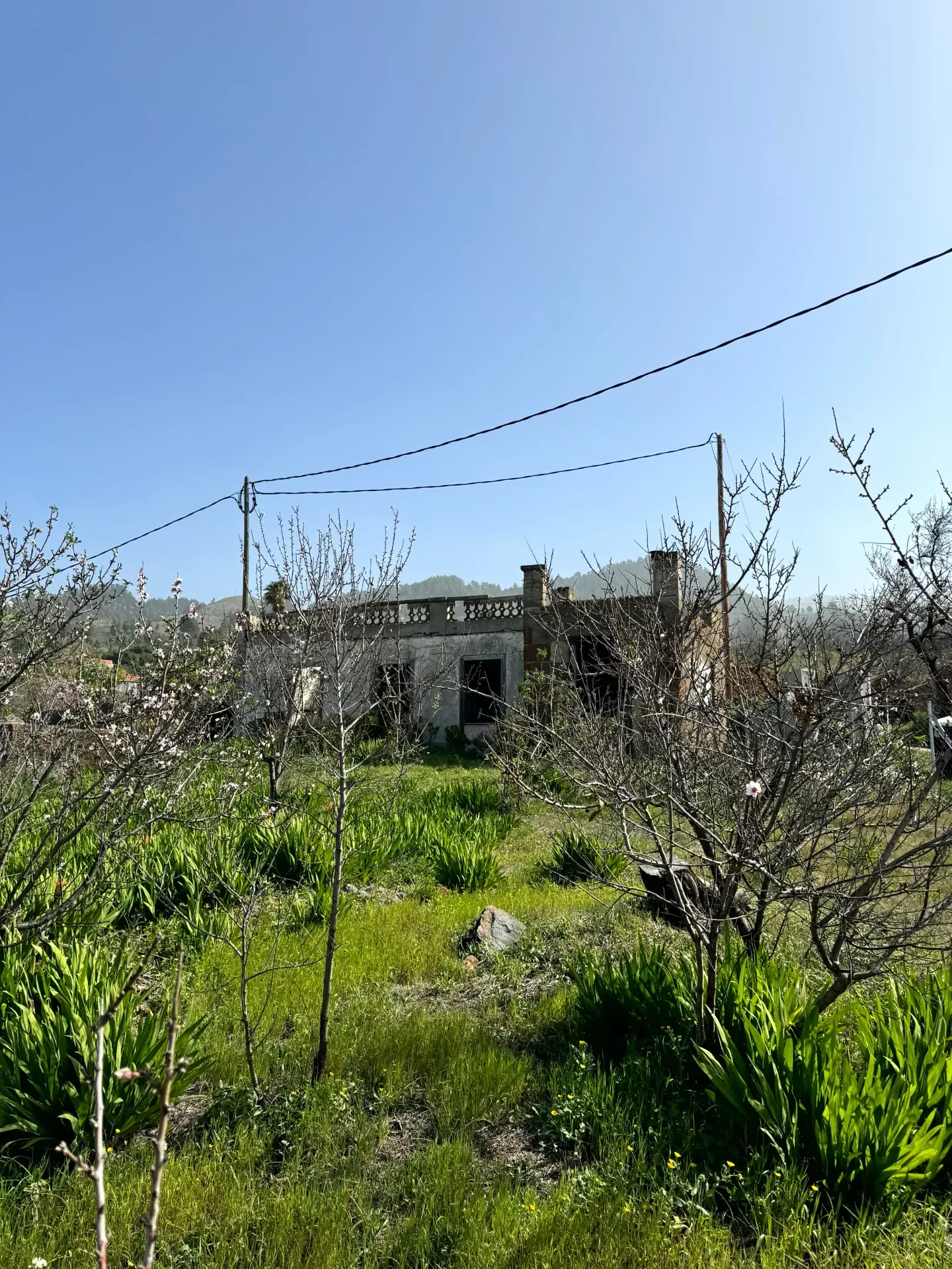 rehab. 'Casita de Arriba'
 — imagen 1