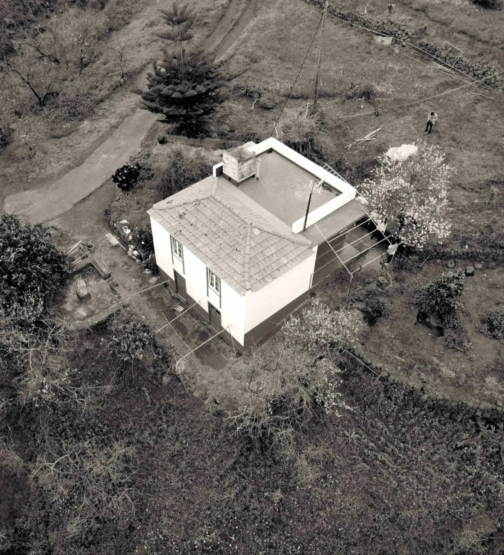 ampliación en Pinar — imagen 1