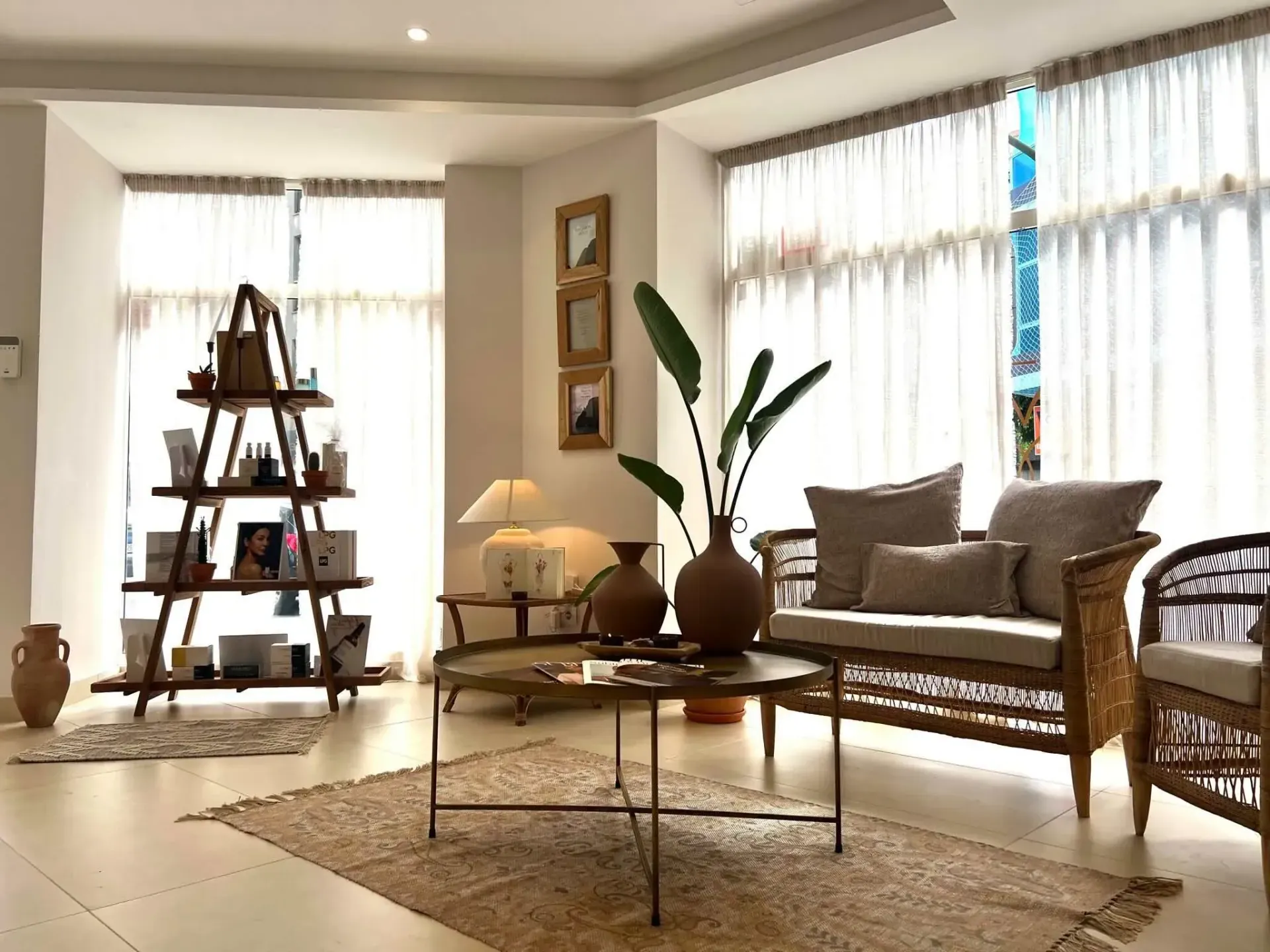 reforma Local Macaron Nesoi — imagen 1