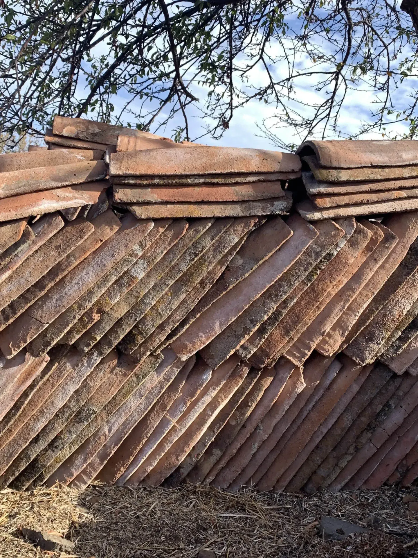 rehab. casita Las Tricias III
 — imagen 4