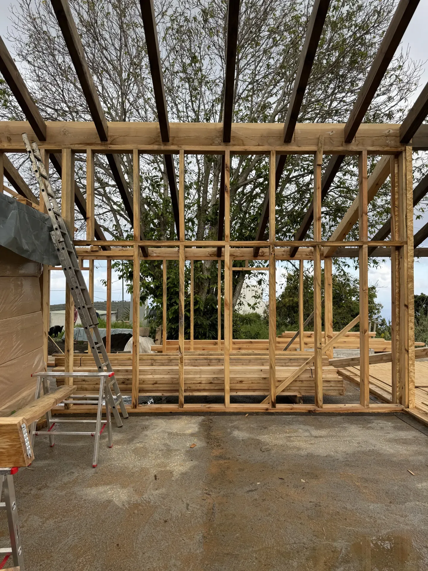 vivienda Lomo Estrello — imagen 4