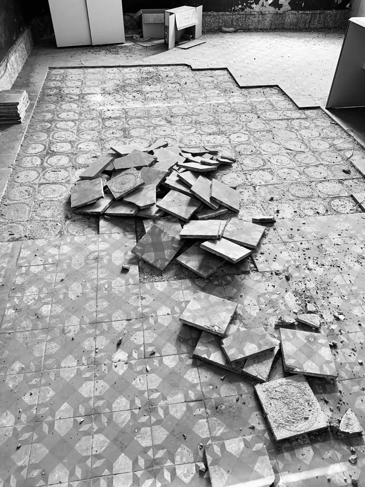 rehab. Casa-Almacén Yanes — imagen 5