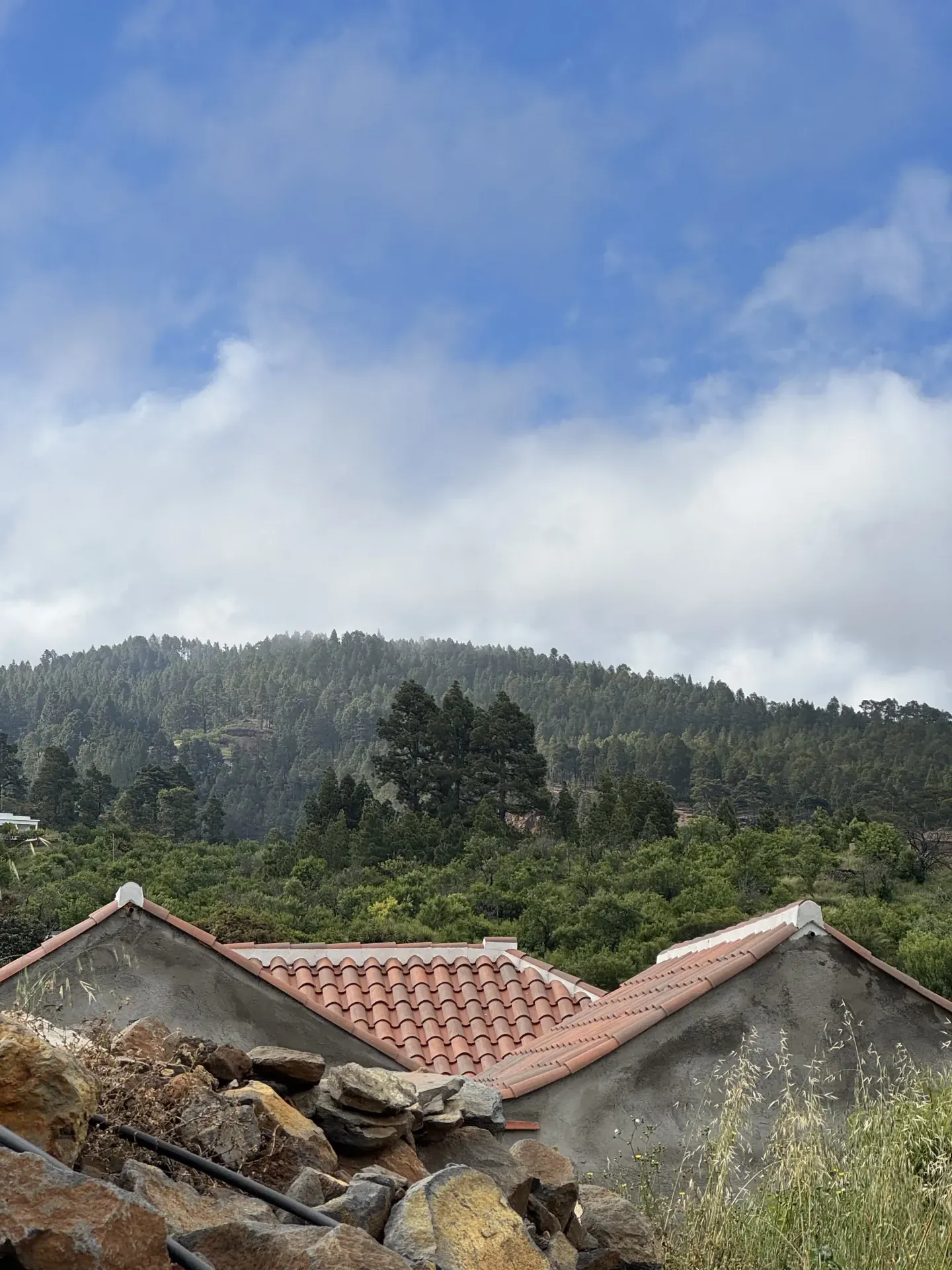 rehab. casita Las Tricias III
 — imagen 6