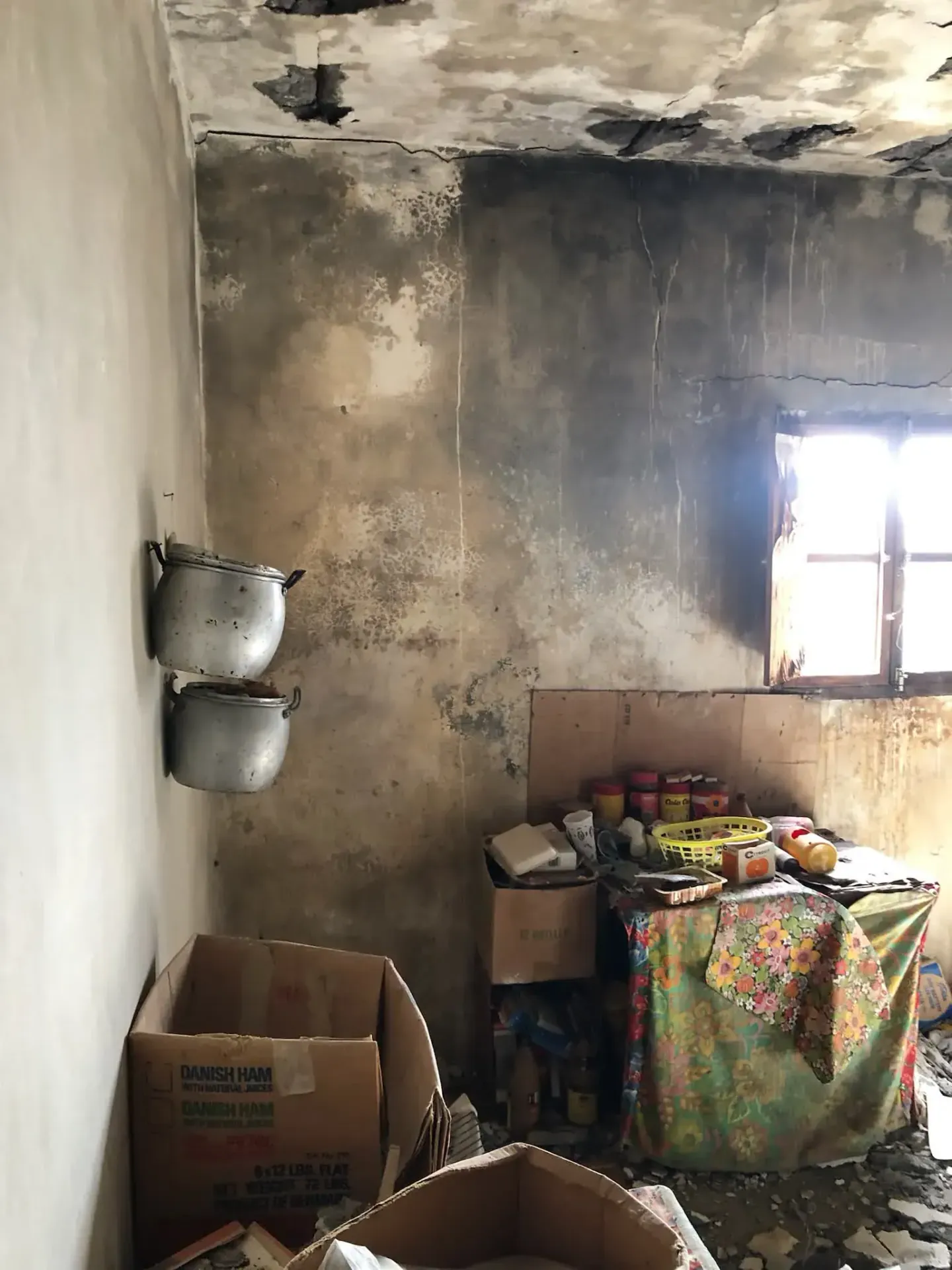 rehab. estudio Los Gomeros — imagen 7